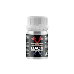 Root stimulator concentrado