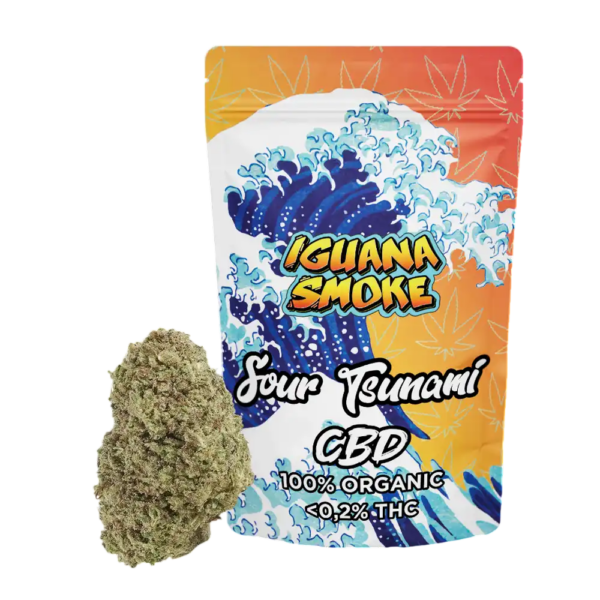 Flores Iguana Smoke 2gr /3gr - Imagen 2