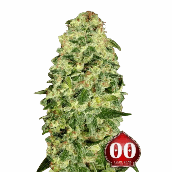 Auto California Kush