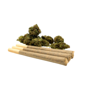 Porro Preliado CBD 1g
