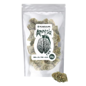 Flores Haze CBD 25g