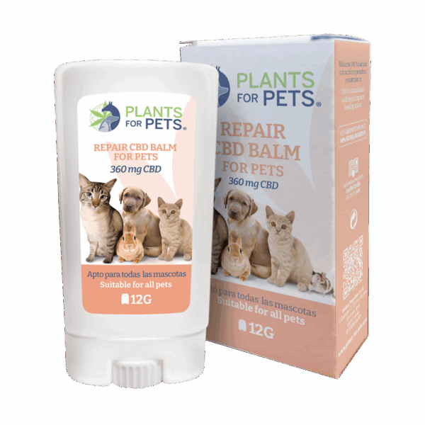 Bálsamo Reparador CBD