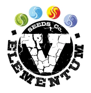 V Elementum