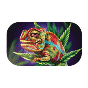 Mag Slaps Pequeña Chameleon